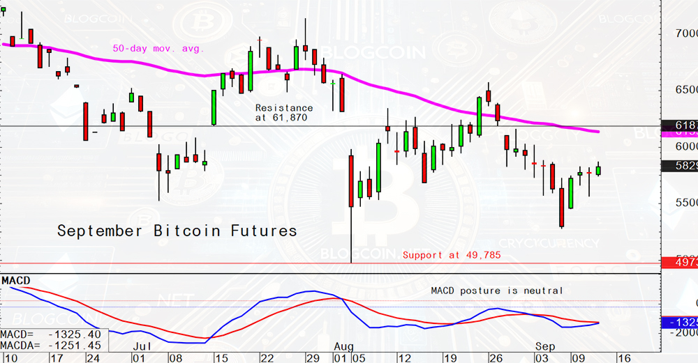 Biến Động Giá Bitcoin Hôm Nay: Sẽ Bùng Nổ Hay Sụp Đổ?